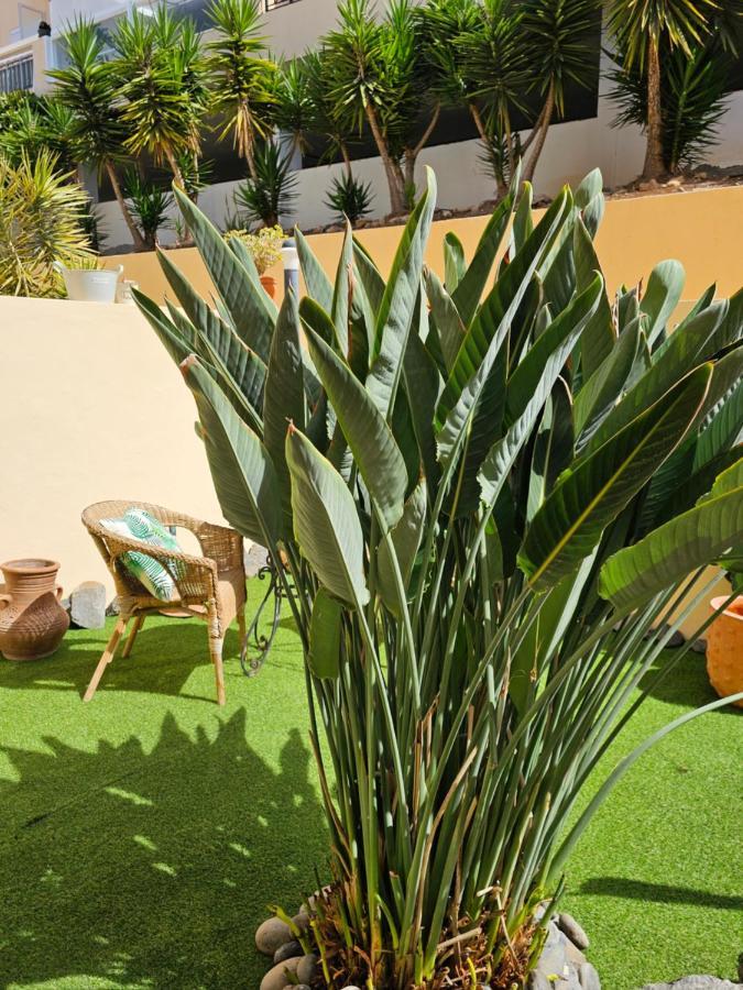 New Holiday Home Beautiful Sea View With Aircon, Costa Adeje Costa Adeje  Exteriör bild